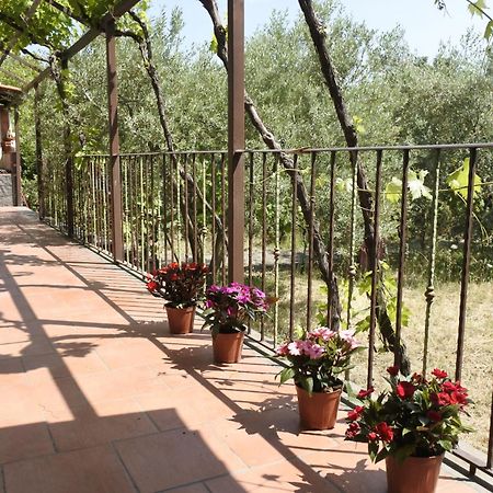 皮耶迪蒙泰埃特内奥Casa Vacanza Etna Evergreen别墅 外观 照片