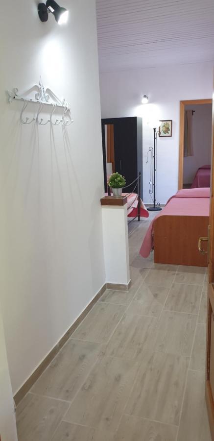 皮耶迪蒙泰埃特内奥Casa Vacanza Etna Evergreen别墅 外观 照片