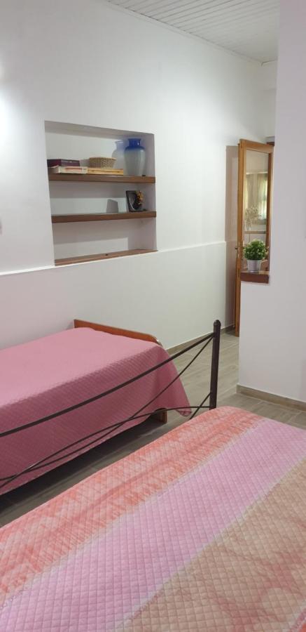皮耶迪蒙泰埃特内奥Casa Vacanza Etna Evergreen别墅 外观 照片