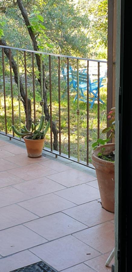 皮耶迪蒙泰埃特内奥Casa Vacanza Etna Evergreen别墅 外观 照片