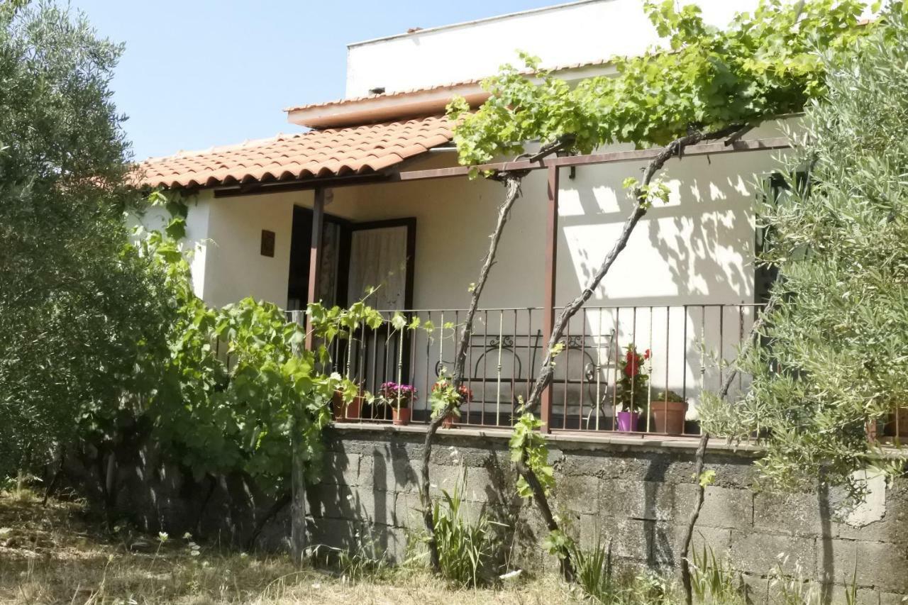 皮耶迪蒙泰埃特内奥Casa Vacanza Etna Evergreen别墅 外观 照片