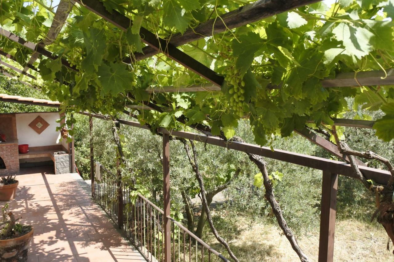 皮耶迪蒙泰埃特内奥Casa Vacanza Etna Evergreen别墅 外观 照片