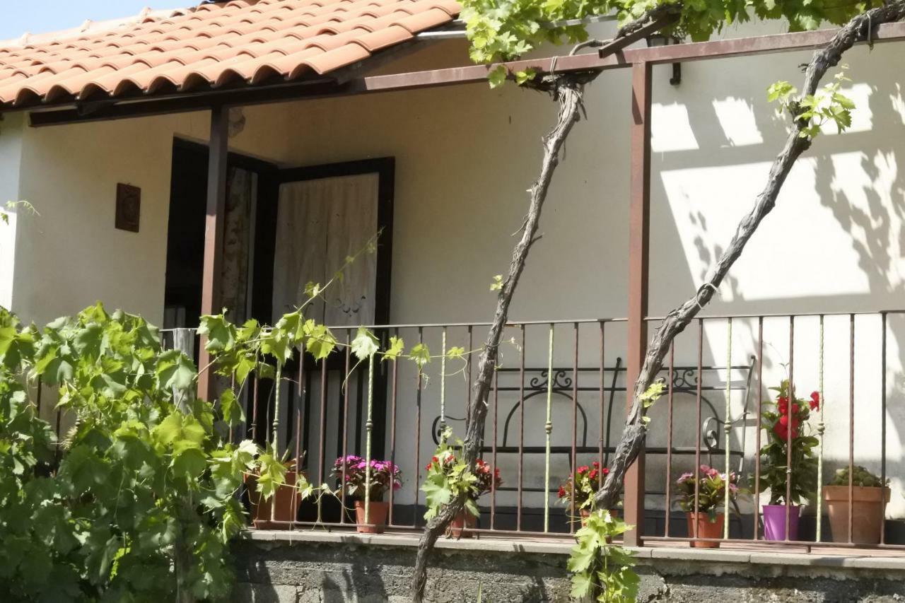 皮耶迪蒙泰埃特内奥Casa Vacanza Etna Evergreen别墅 外观 照片